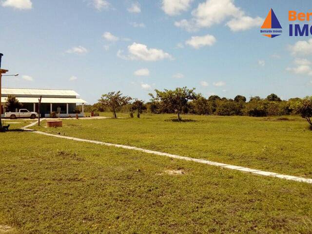 Sítio para Venda em Cascavel - 5