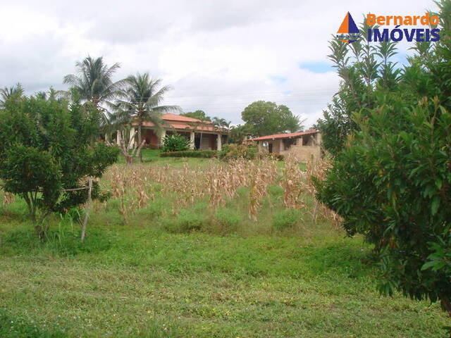 #FZ-402 - Fazenda para Venda em Cascavel - CE - 2